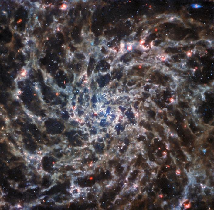 This image of spiral galaxy IC 5332, taken by NASA/ESA/CSA's James Webb Telescope with its MIRI instrument.